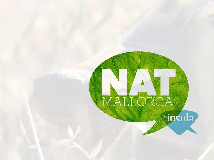 NATMallorca