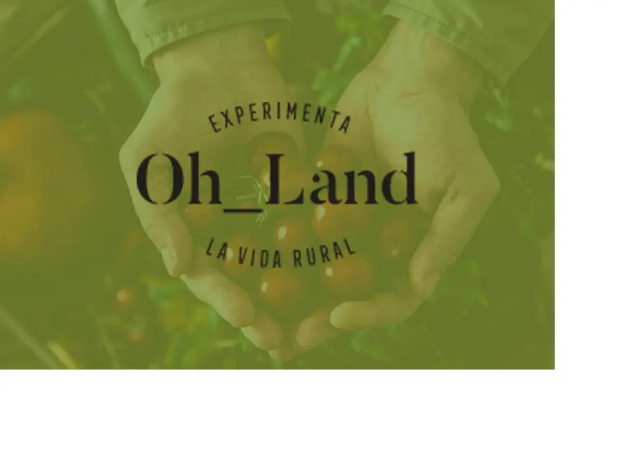 Oh Land