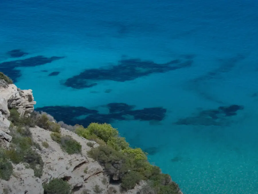 Formentera eco